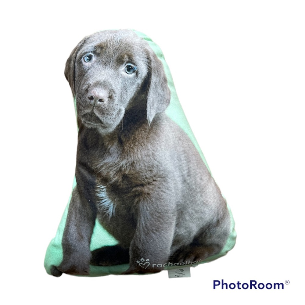 ▫️RACHAELHALE: Comfy & soft dog pillow for children, excellent condition▫️